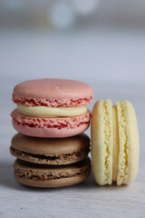 colorful macarons isolated on grey selective focus