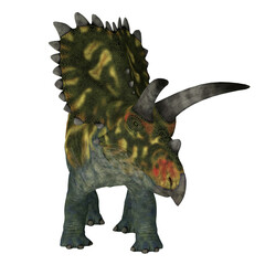 Coahuilaceratops Ceratopsian Dinosaur - Coahuilaceratops was a herbivorous beaked dinosaur that lived in Mexico during the Cretaceous Period.