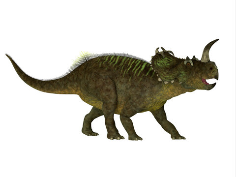 Centrosaurus Ceratopsian Dinosaur - Centrosaurus was a herbivorous beaked dinosaur that lived in Canada during the Cretaceous Period.
