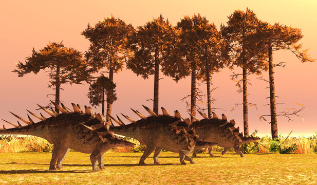 Kentrosaurus Dinosaur Wilderness - Kentrosaurus was a herbivorous armored dinosaur that lived in Tanzania during the Jurassic Period.