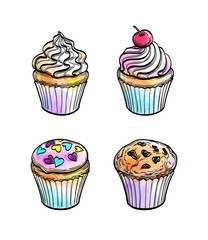 Hand drawn set of cupcakes on white background.