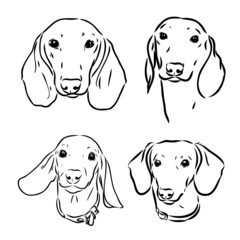 Cute Dachshund dog doodle. Collection in different poses in free hand drawing illustration style.