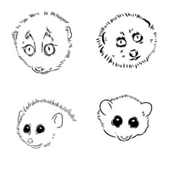 Lemur Loris on a tree vector illustration, hand drawn sketch, black and white. Ink pen cute lori chinese animal sitting on a tree.