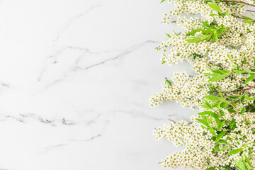 White flowers branches on white marble background. top view with copy space. flat lay