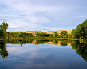 lake and trees