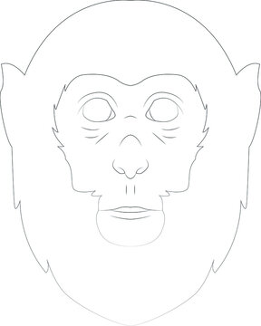 lined monkey vector black and white