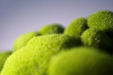 galets de verdure - mousse synthétique