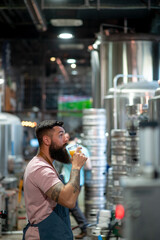 Bearded man examining the quality of craft beer at brewery