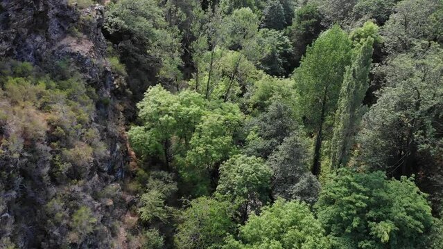 bosque caurel,drone.