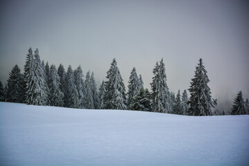 landscape Mountain Mountains hills Alps Snow Winter Trees