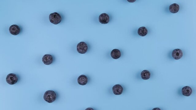 Rotating background berries of blueberries on a blue background - the concept of a healthy diet. Lentium bright background, food design
