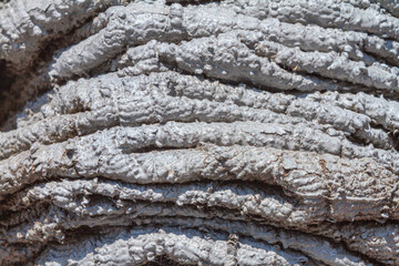 Fototapeta premium Abstract industrial background, texture. A coil of rope that is abundantly covered with dried white paint