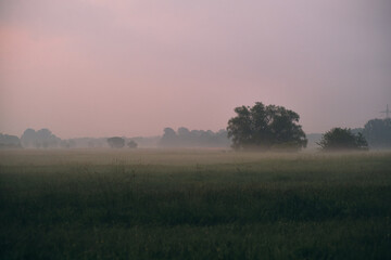Obraz na płótnie Canvas Foggy Landscape in northern Germany. High quality photo