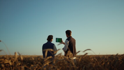 Farmers working wheat field with pad computer. Farmland managers checking crops