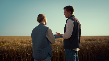 Agronomists team working wheat field together. Male hands holding tablet closeup
