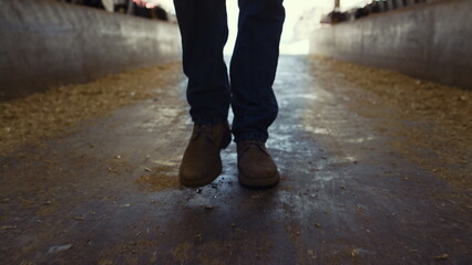 Farmer boots walking shed closeup. Confident agribusiness owner inspect feedlots