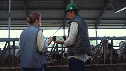 Animal farmers using tablet computer at feedlots. Livestock workers inspect cows