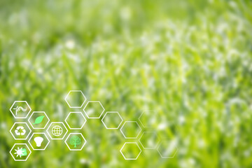 Green nature background with renewable energy icons, hexagons. Development of green, eco sustainable energy