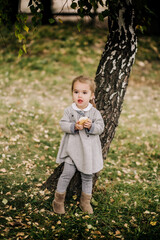 Beautiful child 2 years old in nature in autumn.