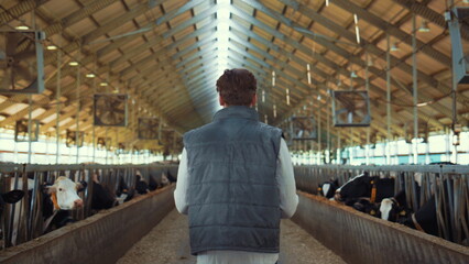 Farmer walking cowshed aisle rear view. Livestock manager inspecting animals.