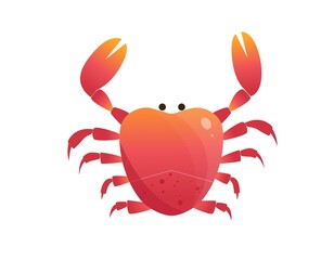 Crab in flat style. Vector illustration isolated on white background, sea underwater animal