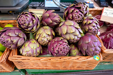 Heads of fresh organic artichoke flowers, edible vegetables purple romanesco artichokes