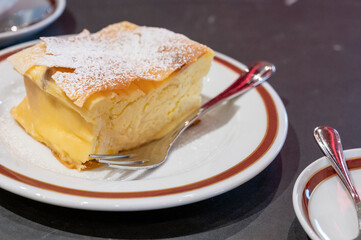 Austrian sweet dessert, filled with white cheese strudel served warm in traditional cafe in Vienna, Austria
