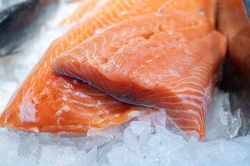 Organic wild scottish fish salmon cleaned on ice on market