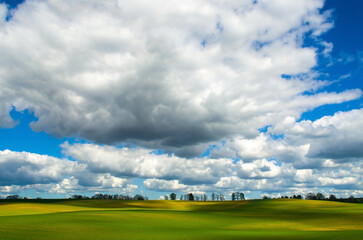Wiosenne pole © Krzysiek Cegiełka