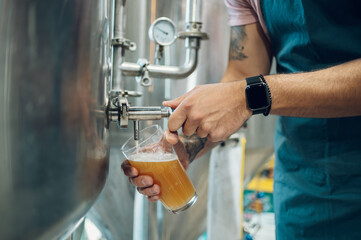 Close shot of a man filling glass of beer on a tap in brewery - obrazy, fototapety, plakaty