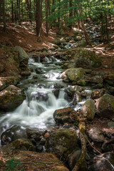 waterfall in the forest