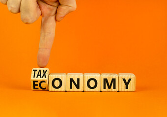 Taxonomy or economy symbol. Businessman turns wooden cubes and changes the concept word Economy to Taxonomy. Beautiful orange background. Business ecology taxonomy or economy concept. Copy space.