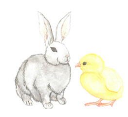 Watercolor rabbit and chicken on white background 