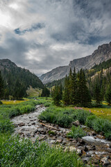 Obraz premium Steam in the Mountains 