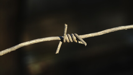 close up of barbed wire