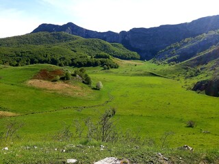 Mountain Bjelasnica landscape with meadows and forest in the spring near Umoljani, Bosnia and Herzegovina