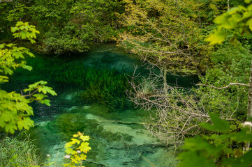 View of Plitvice lake in national park in Croatia
