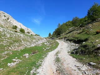 Obraz premium Unpaved road to Crveni Klanac and village Umoljani from Dugo Polje, mountain Bjelasnica, Bosnia and Herzegovina