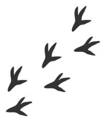 Bird steps vector pictograph. Flat illustration iconic design of bird steps, isolated on a white background.