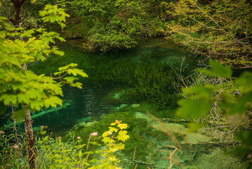 Obraz na płótnie Canvas View of Plitvice lakes in Croatia 