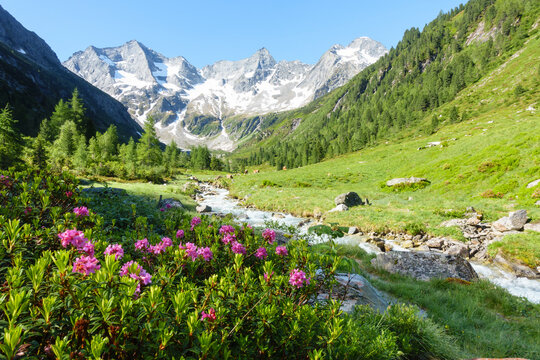 herrliche Berglandschaft mit Wildbach Alpenrosen und Gletscher