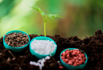 fertilizer in soil. The concept of plant care is the need for feeding with various fertilizers. Text N, P, K - obrazy, fototapety, plakaty
