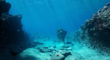 Naklejka na ściany i meble Rocky ocean floor, natural underwater seascape in the Pacific ocean, French Polynesia