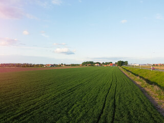 Fototapeta na wymiar Aerial photography of young wheat field and arable crop land