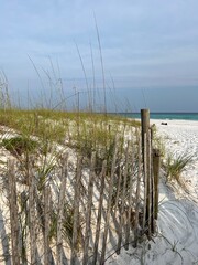 sand dunes Henderson Beach State Park Florida 