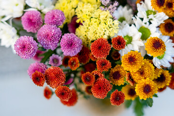 Flores do campo / wildflowers