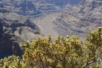 Grand Canyon National Park