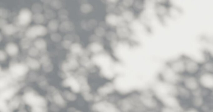 Blurred shadows of tropical plants shading the walls on a sunny day. Summer concept.
