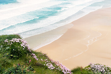 Waves roll onto clean deserted empty sandy summer beach from above. Sea pinks flowers in foreground.