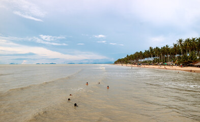 Beach with coconut trees